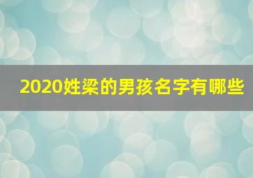 2020姓梁的男孩名字有哪些