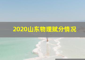 2020山东物理赋分情况