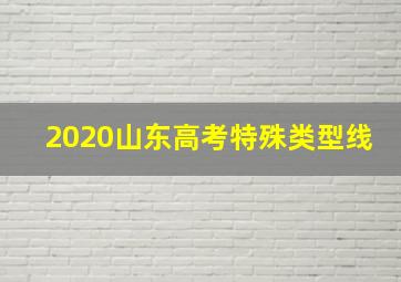 2020山东高考特殊类型线