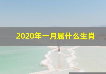 2020年一月属什么生肖