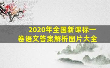 2020年全国新课标一卷语文答案解析图片大全