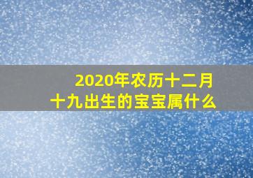 2020年农历十二月十九出生的宝宝属什么