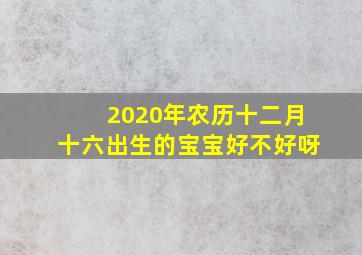 2020年农历十二月十六出生的宝宝好不好呀