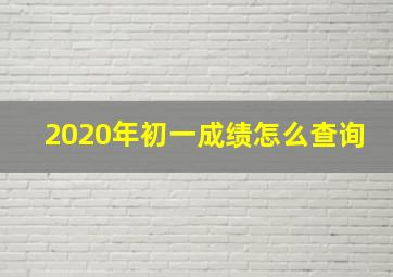 2020年初一成绩怎么查询