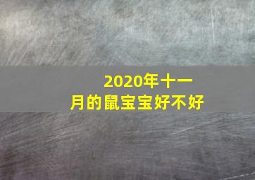 2020年十一月的鼠宝宝好不好