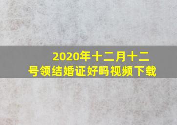 2020年十二月十二号领结婚证好吗视频下载