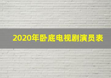 2020年卧底电视剧演员表