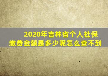 2020年吉林省个人社保缴费金额是多少呢怎么查不到