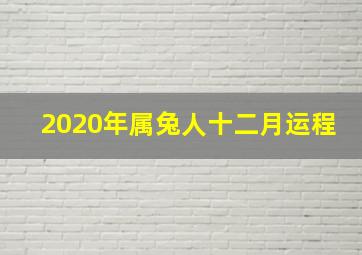 2020年属兔人十二月运程