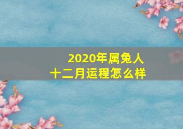 2020年属兔人十二月运程怎么样