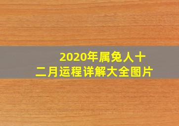 2020年属兔人十二月运程详解大全图片