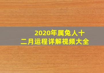 2020年属兔人十二月运程详解视频大全