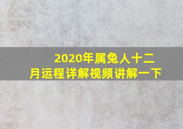 2020年属兔人十二月运程详解视频讲解一下