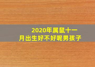 2020年属鼠十一月出生好不好呢男孩子