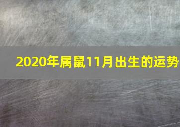 2020年属鼠11月出生的运势