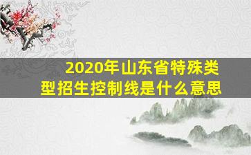 2020年山东省特殊类型招生控制线是什么意思