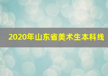 2020年山东省美术生本科线