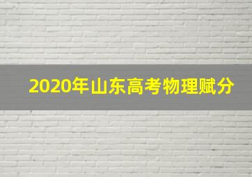 2020年山东高考物理赋分