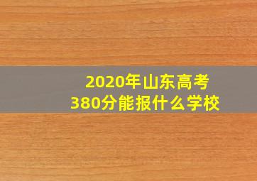 2020年山东高考380分能报什么学校