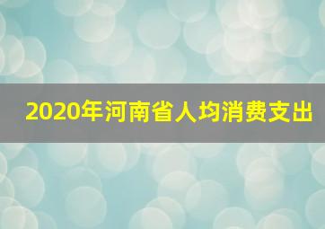 2020年河南省人均消费支出