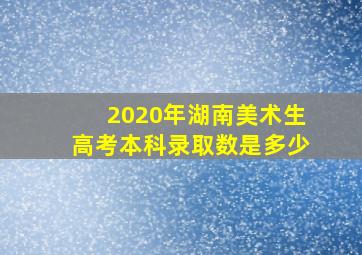 2020年湖南美术生高考本科录取数是多少