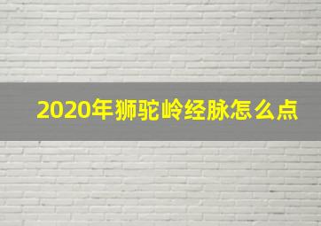 2020年狮驼岭经脉怎么点