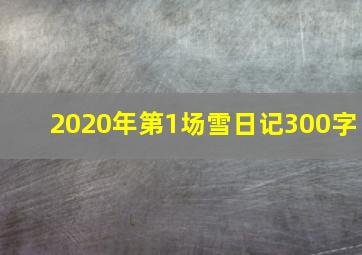 2020年第1场雪日记300字