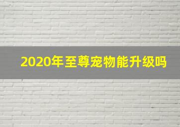 2020年至尊宠物能升级吗