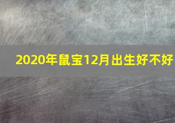 2020年鼠宝12月出生好不好