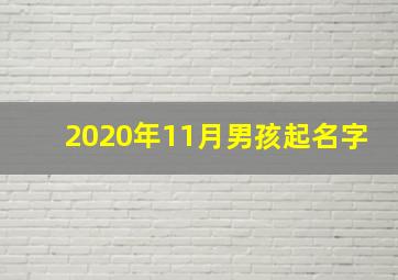 2020年11月男孩起名字