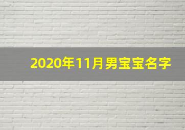 2020年11月男宝宝名字