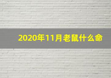 2020年11月老鼠什么命