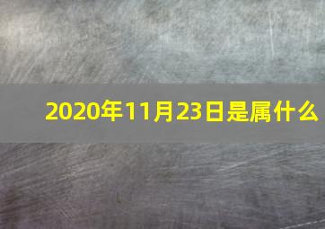 2020年11月23日是属什么