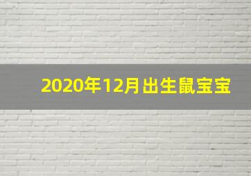 2020年12月出生鼠宝宝