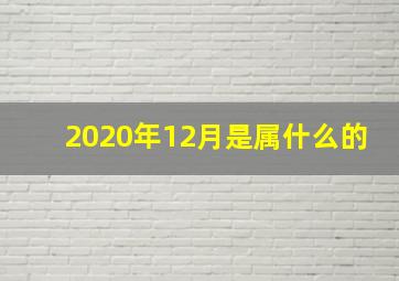 2020年12月是属什么的