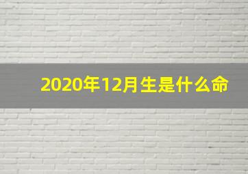 2020年12月生是什么命