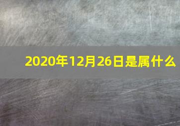 2020年12月26日是属什么