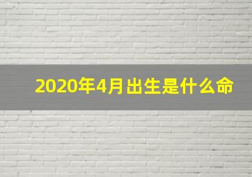 2020年4月出生是什么命