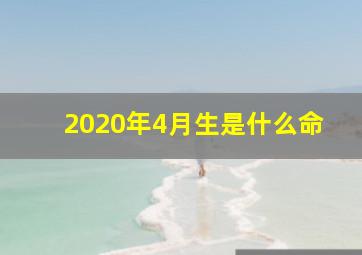 2020年4月生是什么命