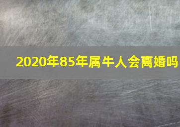 2020年85年属牛人会离婚吗