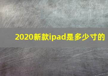 2020新款ipad是多少寸的