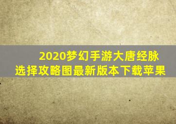 2020梦幻手游大唐经脉选择攻略图最新版本下载苹果