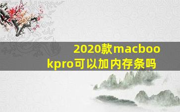 2020款macbookpro可以加内存条吗