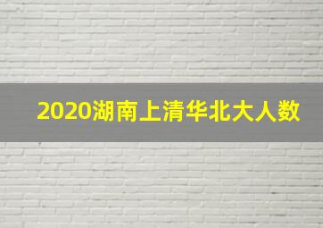 2020湖南上清华北大人数