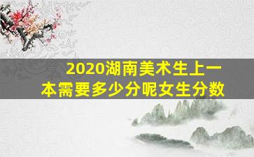 2020湖南美术生上一本需要多少分呢女生分数