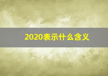 2020表示什么含义