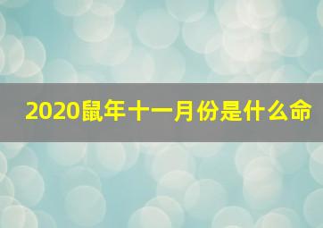 2020鼠年十一月份是什么命