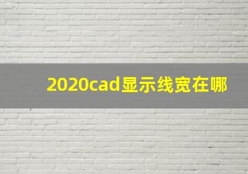 2020cad显示线宽在哪