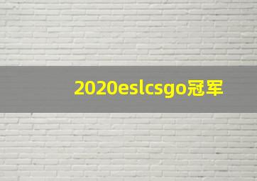 2020eslcsgo冠军