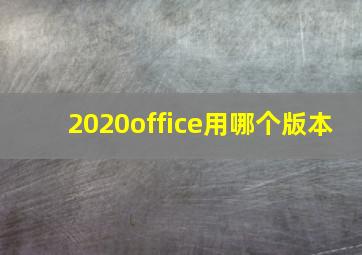 2020office用哪个版本